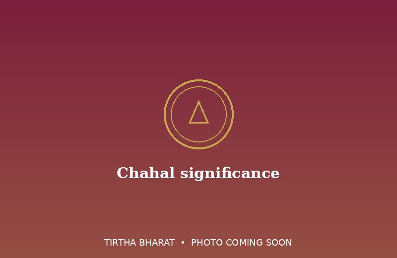 Chahal significance