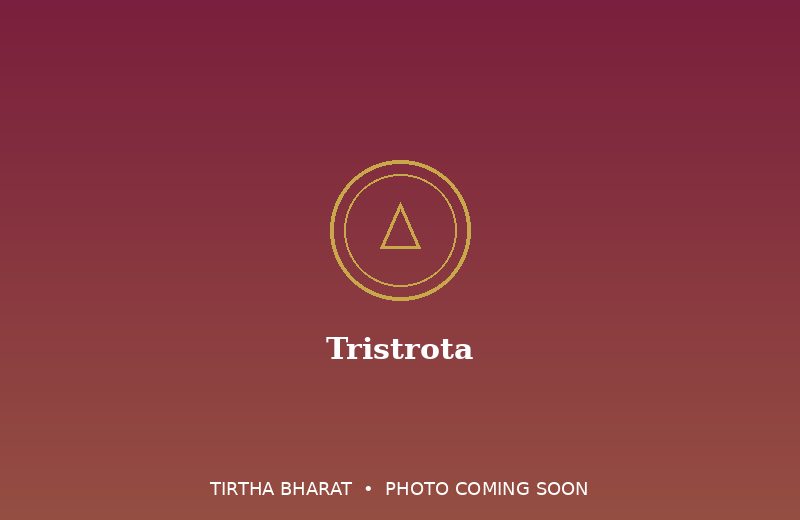 Tristrota