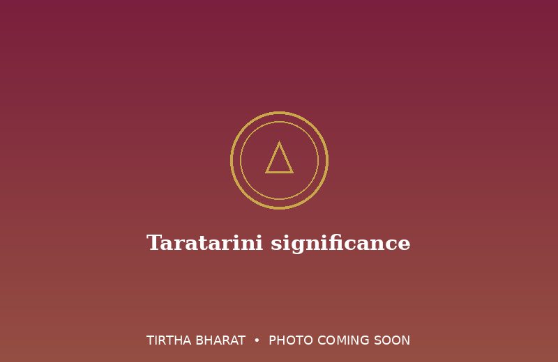 Taratarini significance