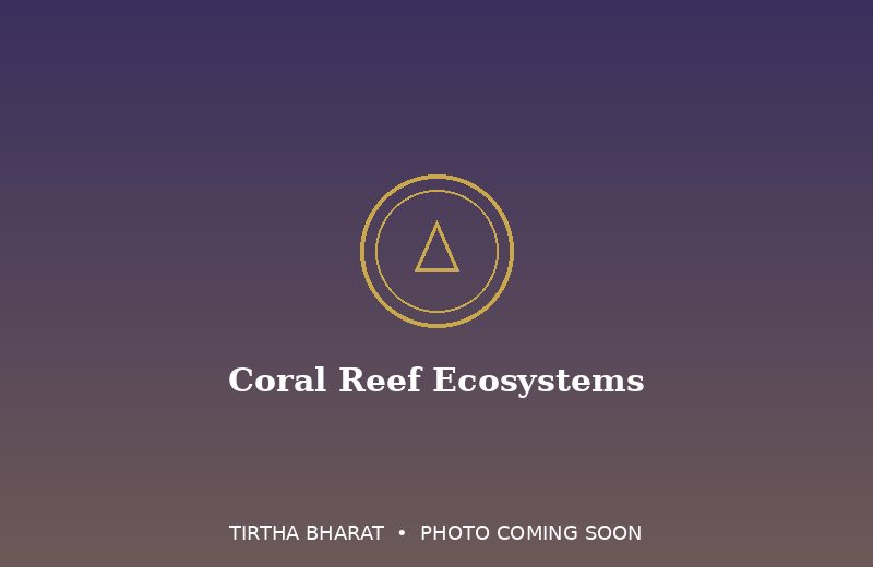 Coral Reef Ecosystems
